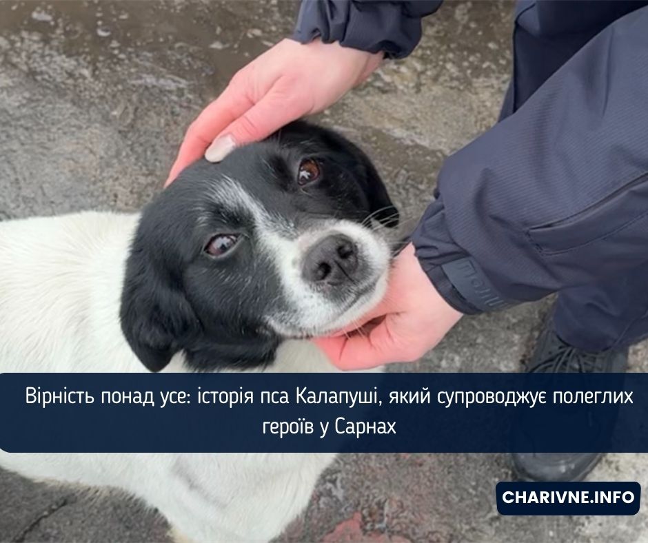 Фото ілюстративне